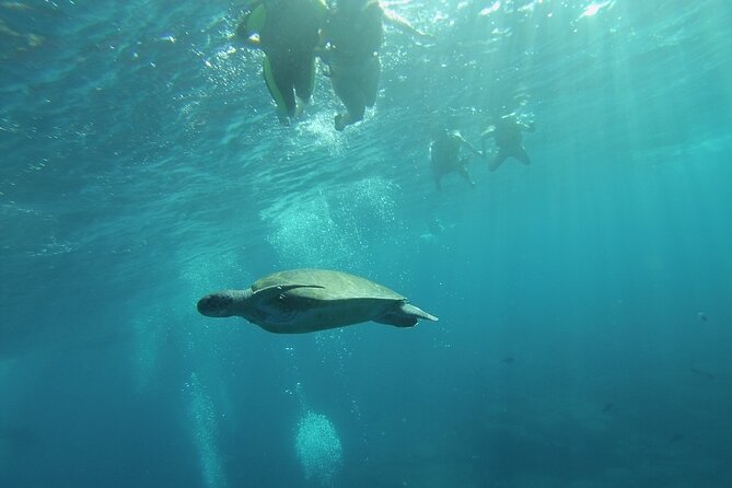 Kayak Route along the Volcanic Coast in Tenerife South with Snorkeling - Who it fits: families, solo riders, and paddling stamina