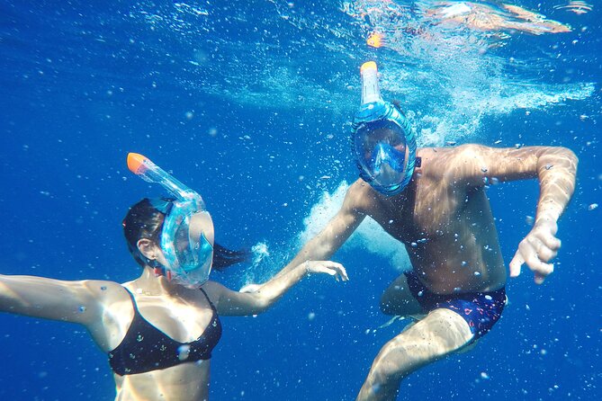 Kayak Route along the Volcanic Coast in Tenerife South with Snorkeling - Snorkeling for turtles: gear, time in the water, and why it’s not a guarantee