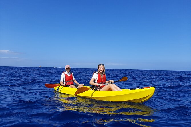 Kayak Safari with Dolphin and Turtle Watching in Guaza - Kicking Off in Los Cristianos: The 3-Hour Flow
