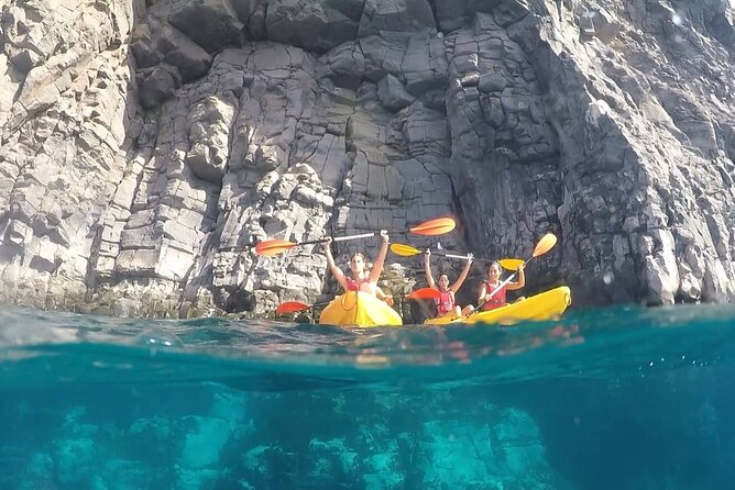 Kayak Safari with Dolphin and Turtle Watching in Guaza - Guides Make It Work: Navigation, Safety, and Local Tips