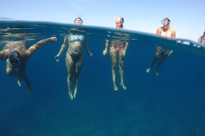 Kayak Safari with Dolphin and Turtle Watching in Guaza - Who This Tour Fits Best (and Who Might Want Something Else)