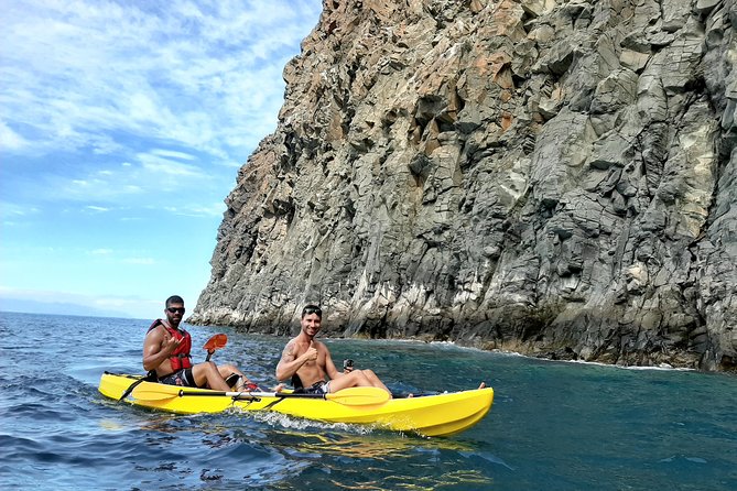 Kayak with Dolphin & Turtle Watching Private Tour - Kayak + Wildlife in Tenerife: What This Tour Really Delivers