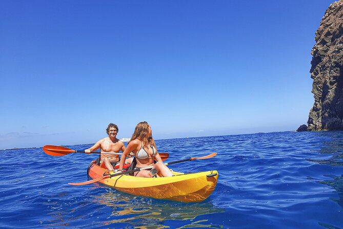 Kayak with Dolphin & Turtle Watching Private Tour - Fitness Level: How Tough Is 3.5 Hours in a Kayak?