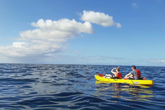 Kayak with Dolphin & Turtle Watching Private Tour - Snorkeling Gear and How the Snorkel Moment Usually Feels