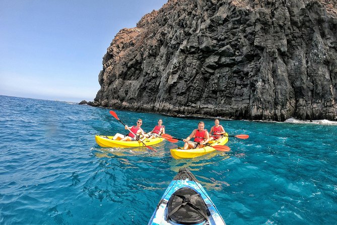 Kayak with Dolphin & Turtle Watching Private Tour - Guides and Group Feel: Private Attention Is the Point