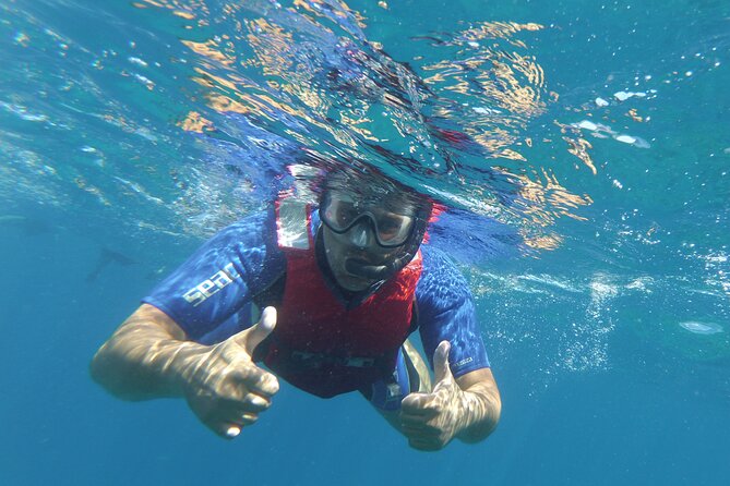 Kayaking + snorkeling with turtles - Gear and Snorkeling Comfort (Masks, Goggles, and Sea Reality)