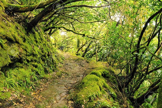 La Gomera Day Trip from Tenerife - Roque de Agando and the Witches Legend Stop