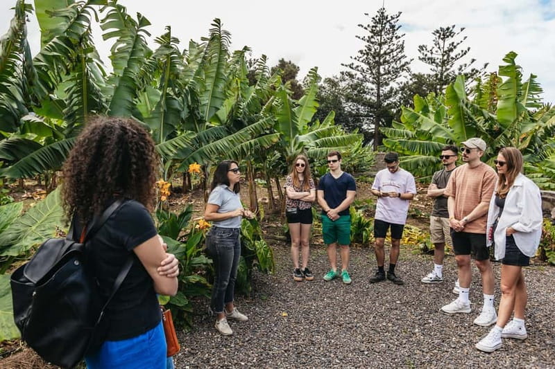 La Orotava: Eco Banana Plantation Tour with Banana Liquor - Should you book BananaECOplantation’s eco banana tour in La Orotava?
