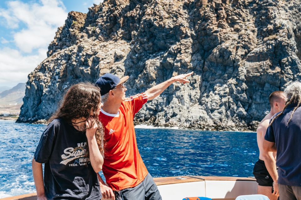 Las Galletas: Whale & Dolphin Tour with Local Skipper - Key Highlights Worth Booking for