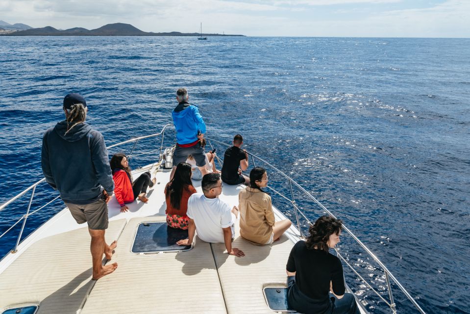 Las Galletas: Whale & Dolphin Tour with Local Skipper - Homemade lunch on board: local food that isn’t an afterthought