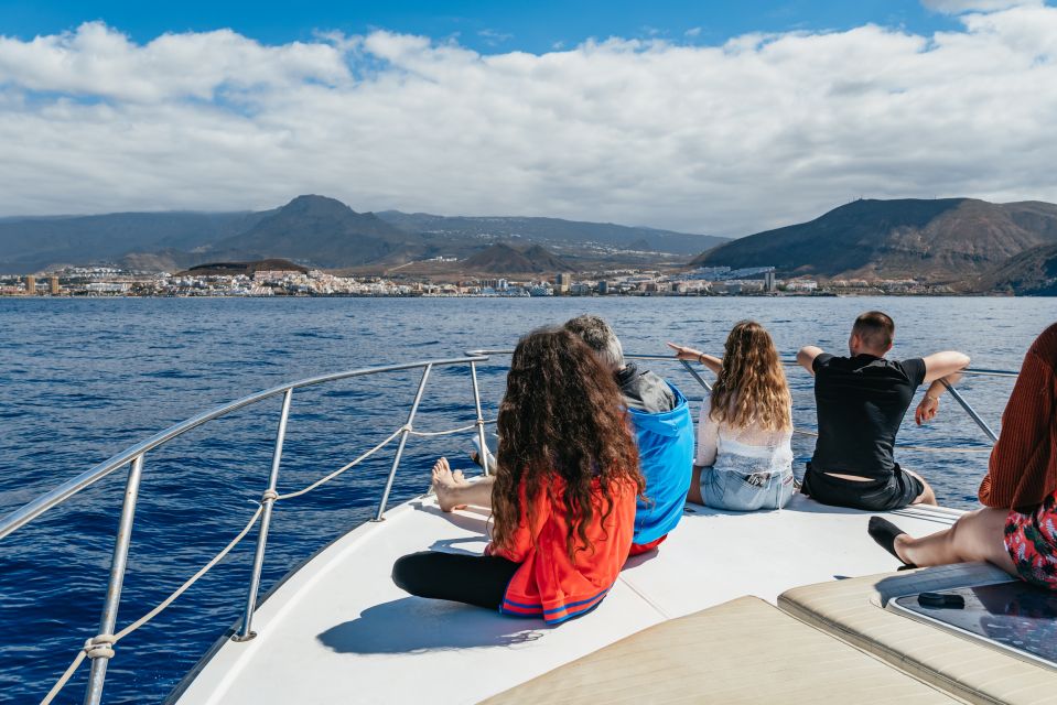 Las Galletas: Whale & Dolphin Tour with Local Skipper - Sailing back past Punta de Rasca: a calmer finale