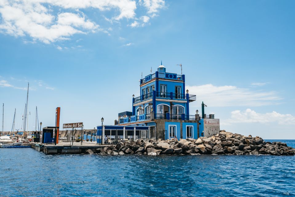 Las Galletas: Whale & Dolphin Tour with Local Skipper - Price and value: is $69 worth it?