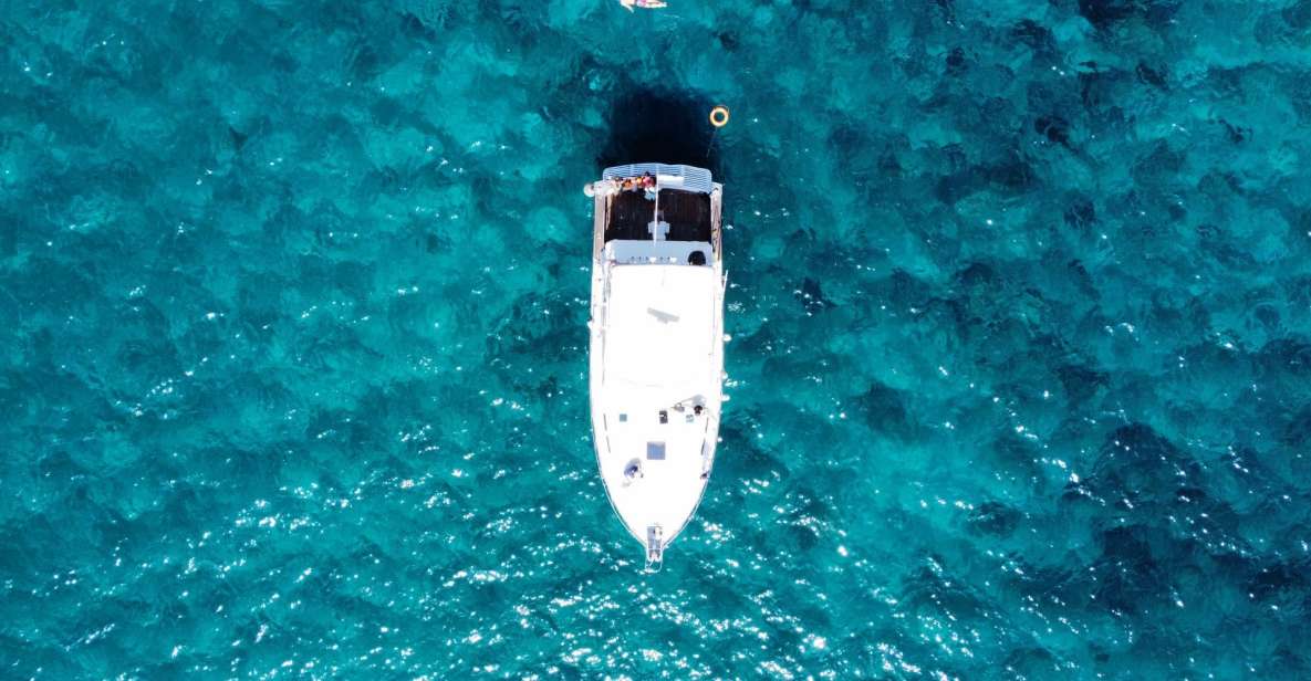 Las Galletas: Whale & Dolphin Tour with Local Skipper - Practical tips that make the day better