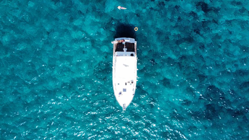 Las Galletas: Whale & Dolphin Tour with Local Skipper - Who this Tenerife whale cruise fits best