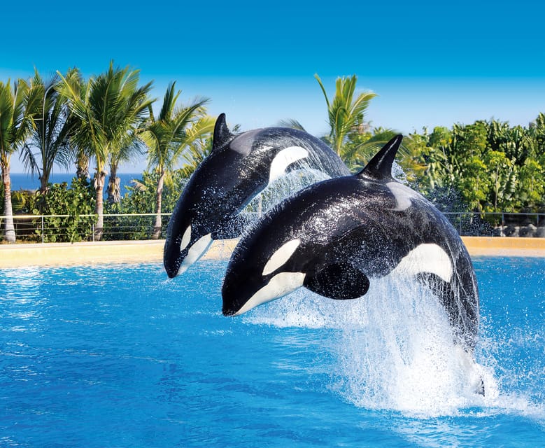 Loro Parque and Siam Park Combined Admission Tickets - Key highlights you’ll actually care about