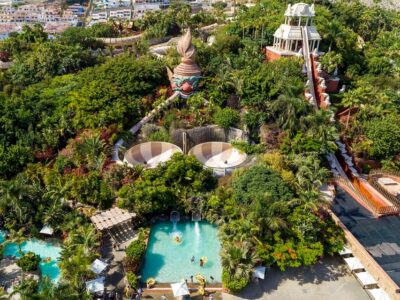 Loro Parque and Siam Park Combined Admission Tickets - Loro Parque in Puerto de la Cruz: Orca Ocean, Parrots, Penguins, and Kinderlandia