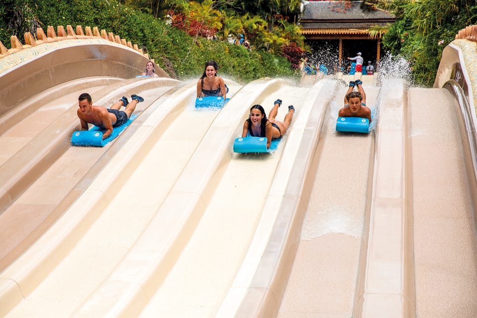 Loro Parque and Siam Park Combined Admission Tickets - Plan Your Day Like a Pro: Shows, Timing, and How to Not Miss the Big Stuff