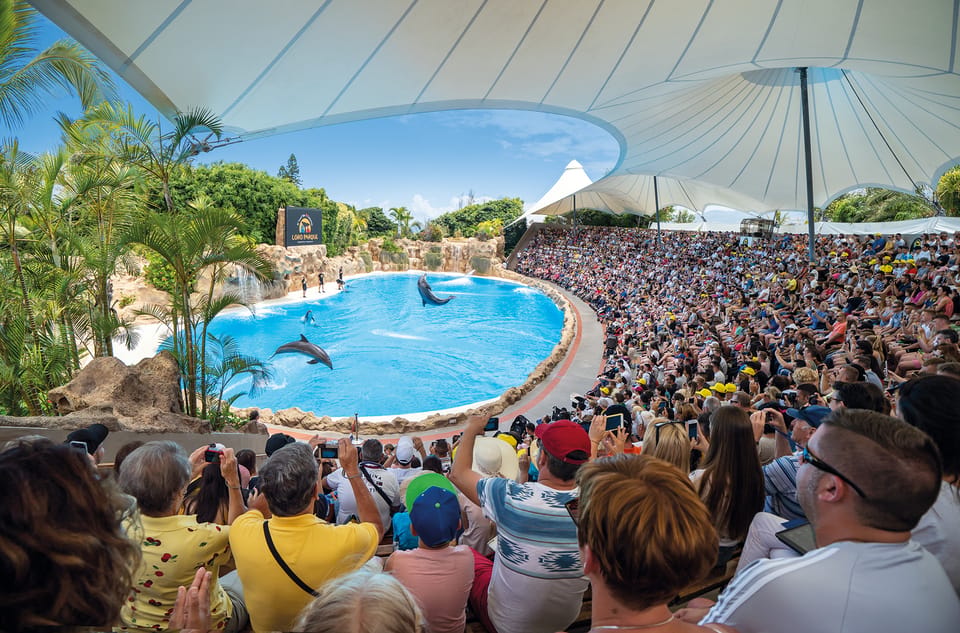 Loro Parque and Siam Park Combined Admission Tickets - Price and Value: Does $92 per Person Really Add Up?