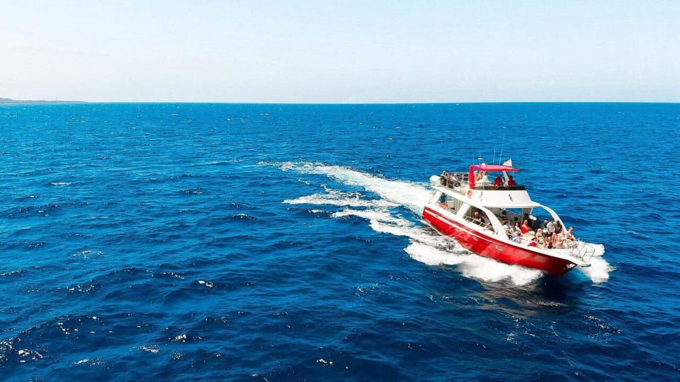 Los Cristianos: Eco Yacht Whale Watching Tour at Sunset - Timing and Meeting Point: The Easy Part, If You Don’t Cut It Close