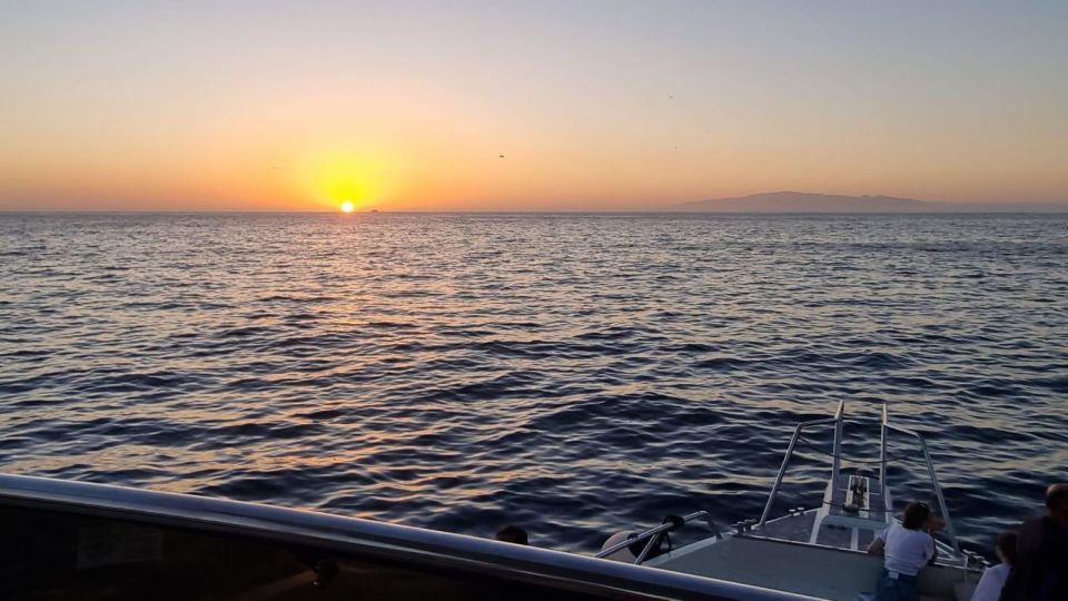 Los Cristianos: Eco Yacht Whale Watching Tour at Sunset - Swim Stop at Sunset: When It Happens, and What to Know