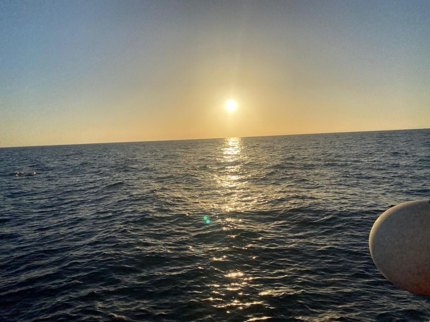Los Cristianos: Eco Yacht Whale Watching Tour at Sunset - Guides, Languages, and the Photo Help That Makes It Feel Personal
