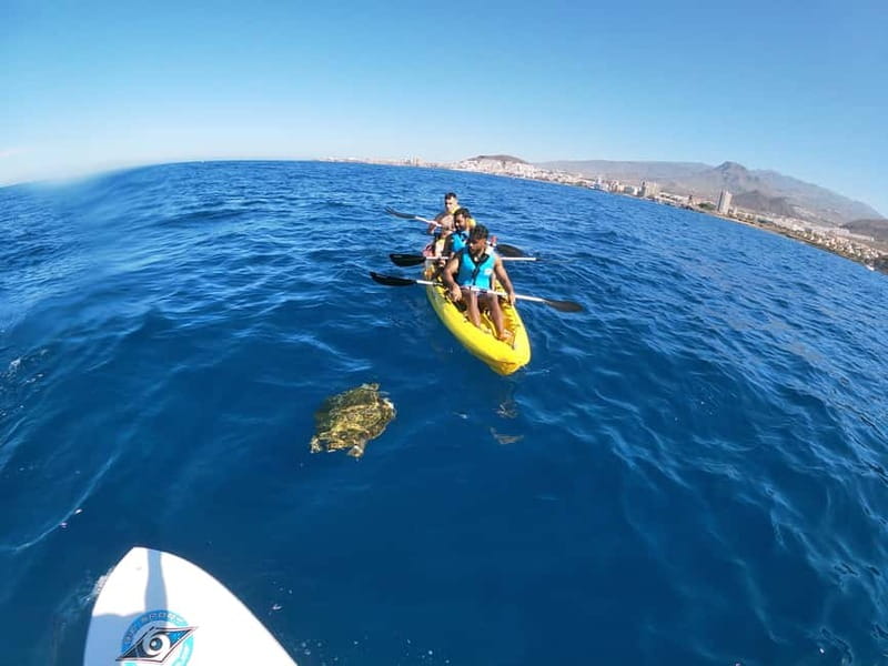 Los Cristianos: Kayak and Snorkel with Turtles and Photos - What’s Included (and What You’ll Still Want to Bring)