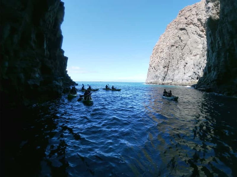 Los Cristianos: Kayak and Snorkel with Turtles and Photos - Los Cristianos Kayak and Snorkel: What You’re Really Paying For