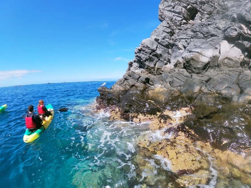 Los Cristianos: Kayak and Snorkel with Turtles and Photos - Snorkeling at the Hidden Caves: Turtles Up Close