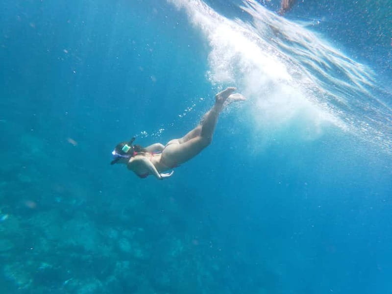 Los Cristianos: Kayak and Snorkel with Turtles and Photos - Dolphins and Red Crabs: The Fun Chase Back