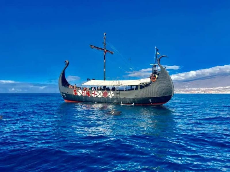 Los Cristianos: Viking Cruise Whales & Dolphins Watching - Key highlights