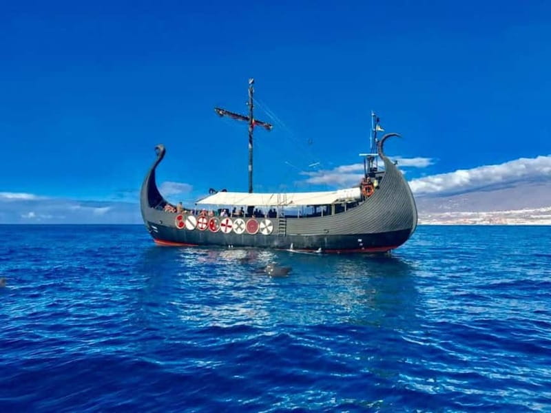 Los Cristianos: Whale Watching Cruise w/Swim Stop & Drinks - Key Points You’ll Care About