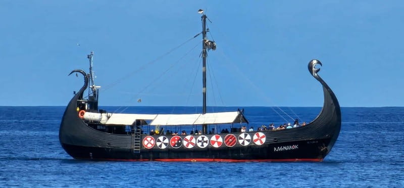 Los Cristianos: Whale Watching Cruise w/Swim Stop & Drinks - Drinks Included: Beer, Wine, and the On-Board Bar Vibe
