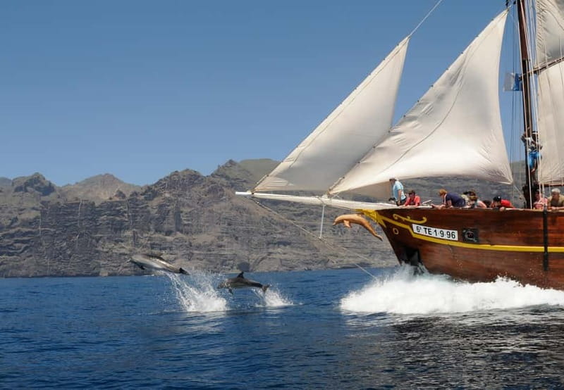 Los Gigantes: Dolphin and Whale Watching Tour with Drinks - Key things to know before you go