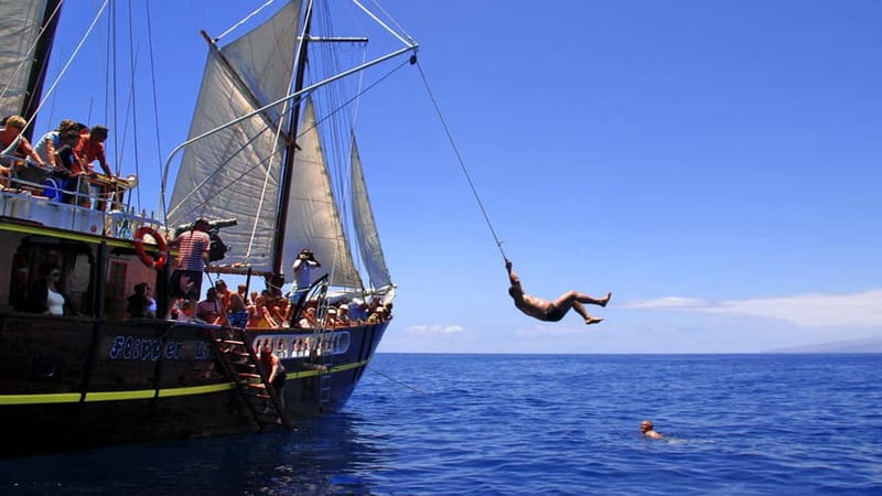 Los Gigantes: Dolphin and Whale Watching Tour with Drinks - Paella lunch, drinks, and Canarian schnapps: what’s included and what that means for value