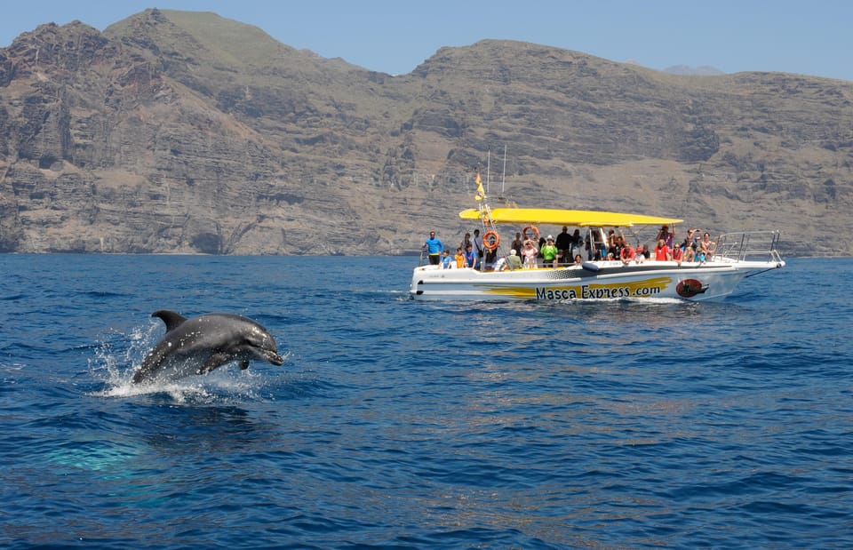 Los Gigantes: Dolphin & Whale Watching Cruise with Swim Stop - Los Gigantes Cliffs: The View That Starts the Trip Right