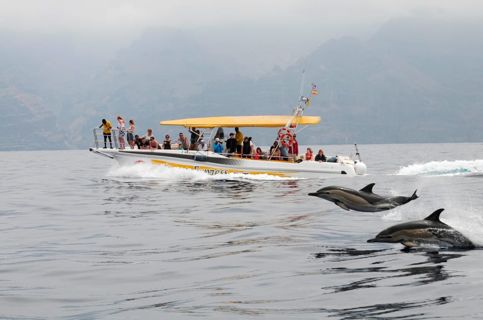 Los Gigantes: Dolphin & Whale Watching Cruise with Swim Stop - The Itinerary Flow: Cliffs, Then a Proper Swim in Crystal Water