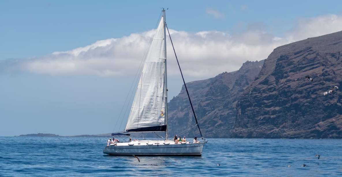 Los Gigantes: Sailing Excursion with Swimming, Drink & Tapas - Snorkeling in Clear Water Near the Red Cliffs (Sea Turtles, Manta Rays, Octopi)