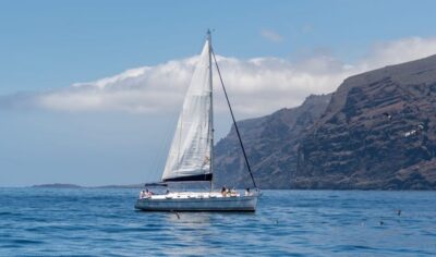 Los Gigantes: Sailing Excursion with Swimming, Drink & Tapas - Wildlife Search: Dolphins and Pilot Whales Close to the Boat