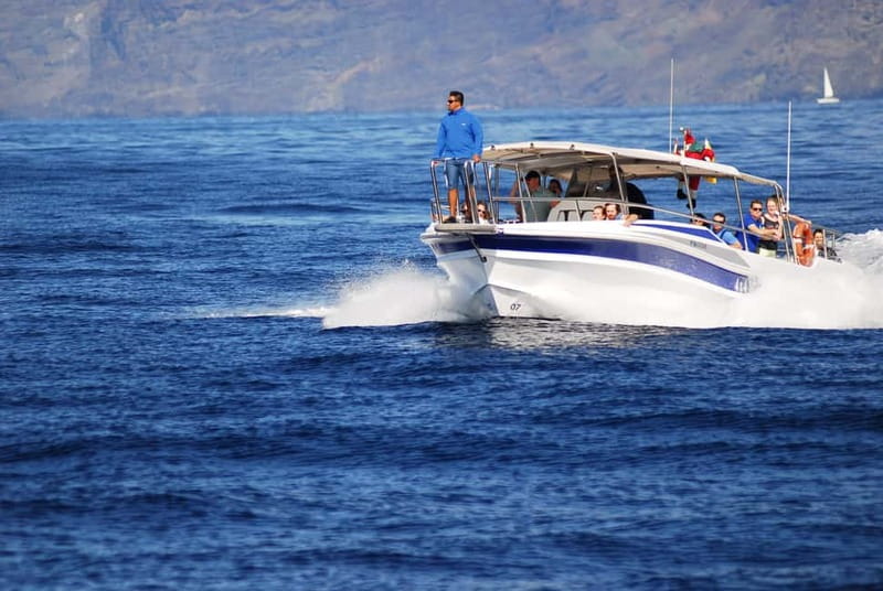 Los Gigantes: Whale or dolphin watching and swimming tour in Masca - Quick hits you’ll care about