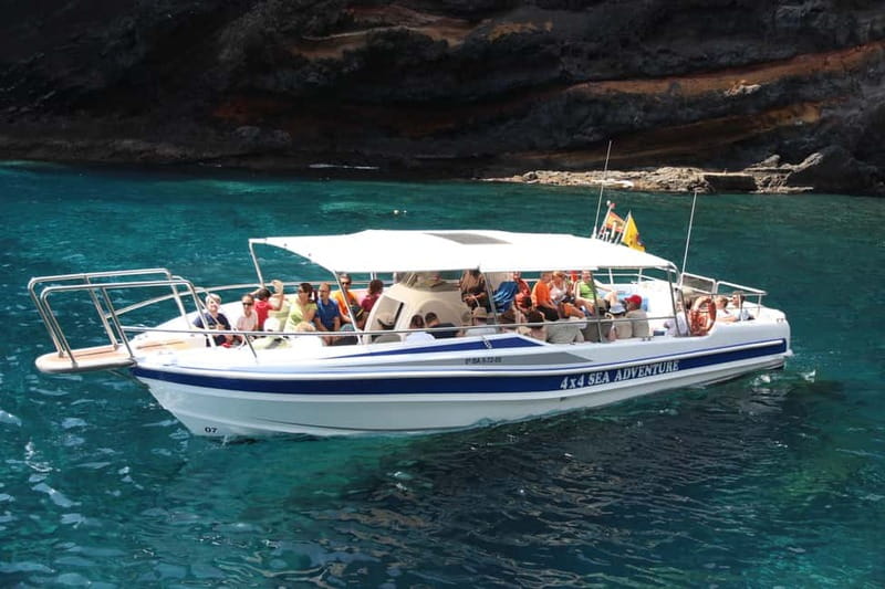 Los Gigantes: Whale or dolphin watching and swimming tour in Masca - Why Los Gigantes plus Masca Bay feels like a best-of-the-area tour