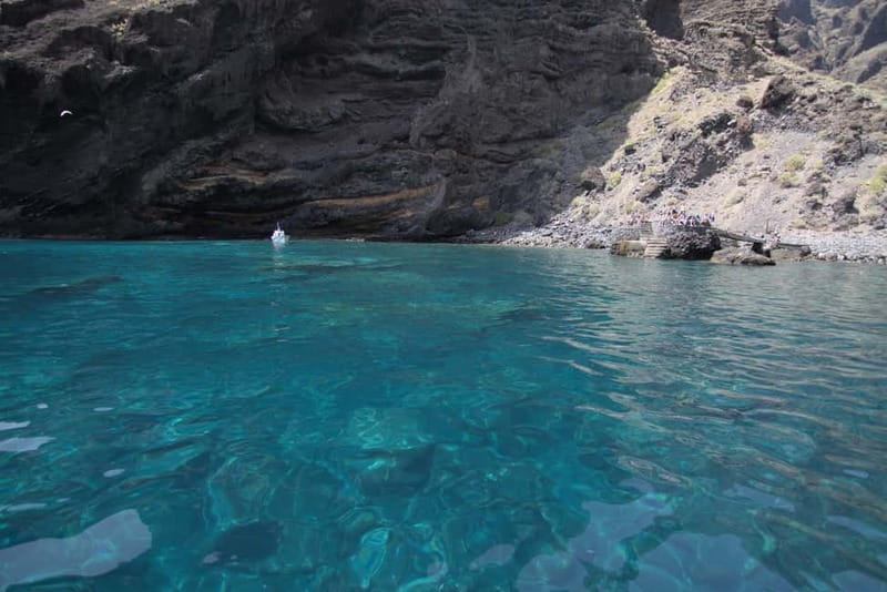 Los Gigantes: Whale or dolphin watching and swimming tour in Masca - Who this tour fits best (and who might want a different plan)