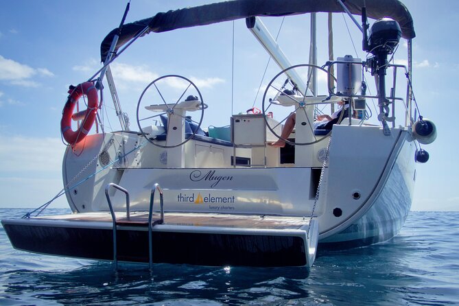 Los Gigantes Whale Watching Charter by Sail Boat - Snorkeling and swimming by the cliffs: the part that surprises people