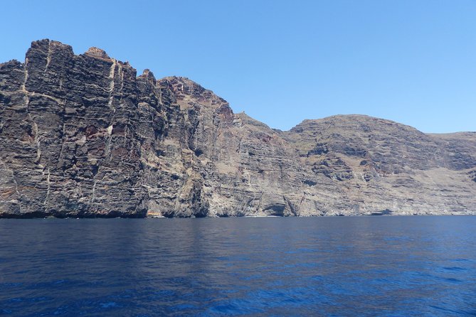 Los Gigantes Whale Watching Charter by Sail Boat - Language on board: English most days, with one catch
