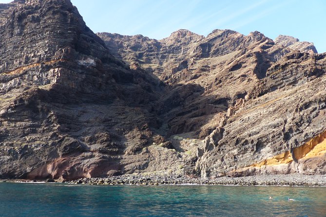 Los Gigantes Whale Watching Charter by Sail Boat - Whale watching: what to expect off the cliffs