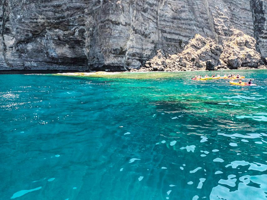 Los Gigantes: Whales and Dolphin Watching Cruise with Lunch - Watching Marine Life Without Feeling Rushed