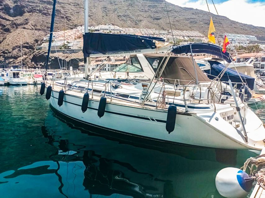 Los Gigantes: Whales and Dolphin Watching Cruise with Lunch - Sunset Option: Same Route, Different Feeling