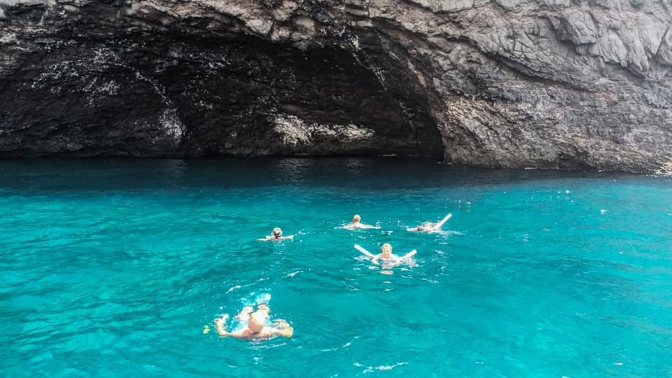 Los Gigantes: Whales and Dolphin Watching Cruise with Lunch - Boat Size, Group Vibe, and Why It Matters