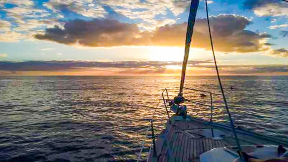 Los Gigantes: Whales and Dolphin Watching Cruise with Lunch - Who Should Book This Cruise (and Who Might Want Another Option)