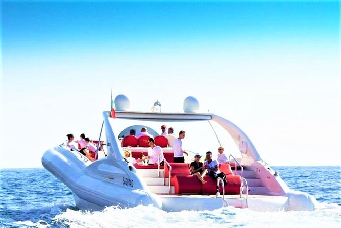 Luxury Opera 60 Whale & Dolphin Watching Experience - Key things worth knowing before you go