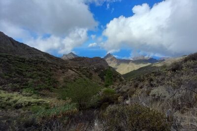 Masca from above - The hike route: pine forest, rain forest pockets, then Masca Gorge from above
